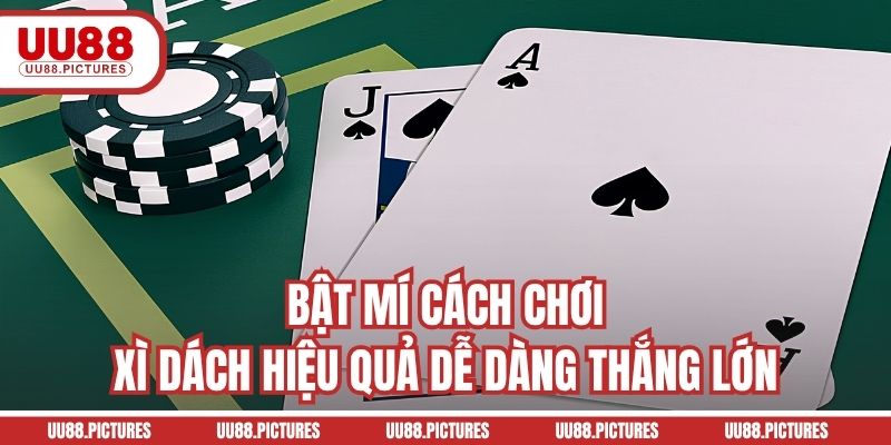 Bật mí cách chơi xì dách hiệu quả dễ dàng thắng lớn