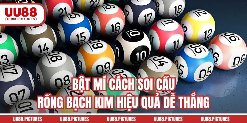 Bật mí cách soi cầu rồng bạch kim hiệu quả dễ thắng