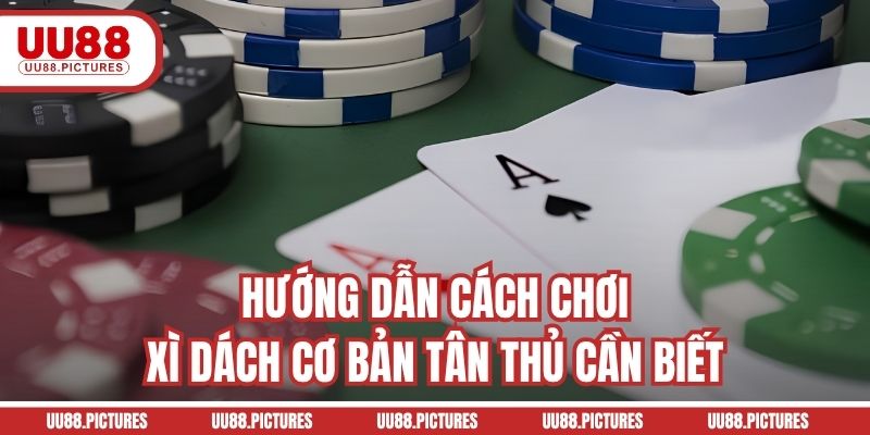 Hướng dẫn cách chơi xì dách cơ bản tân thủ cần biết