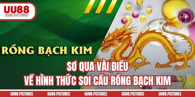 Sơ qua vài điều về hình thức soi cầu rồng bạch kim