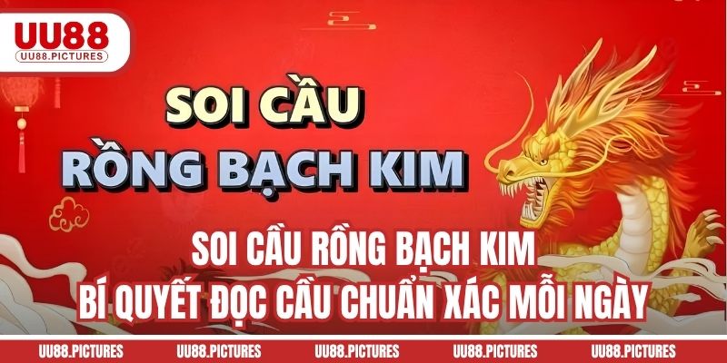 Soi Cầu Rồng Bạch Kim - Bí Quyết Đọc Cầu Chuẩn Xác Mỗi Ngày